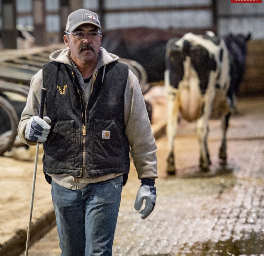 Carhartt ICONIC V01 FIRM DUCK VEST - Main Image