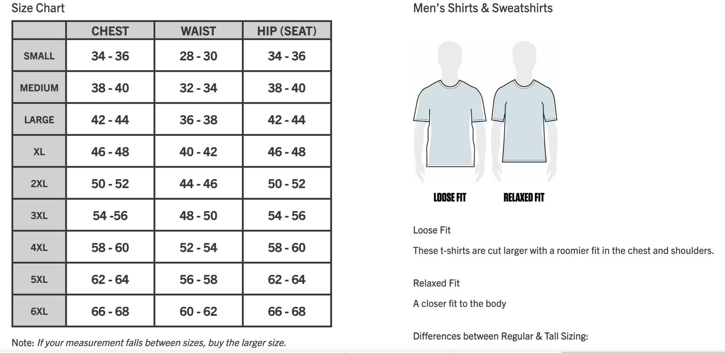 Carhartt LIGHTWEIGHT Relaxed fit Logo Graphic T-Shirt