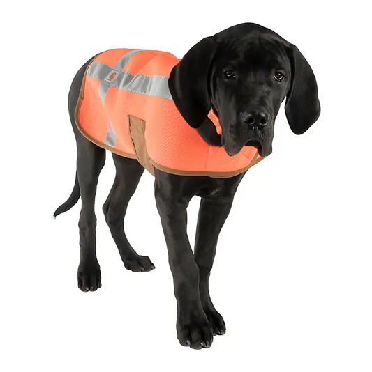 Carhartt DOG SAFETY Vest