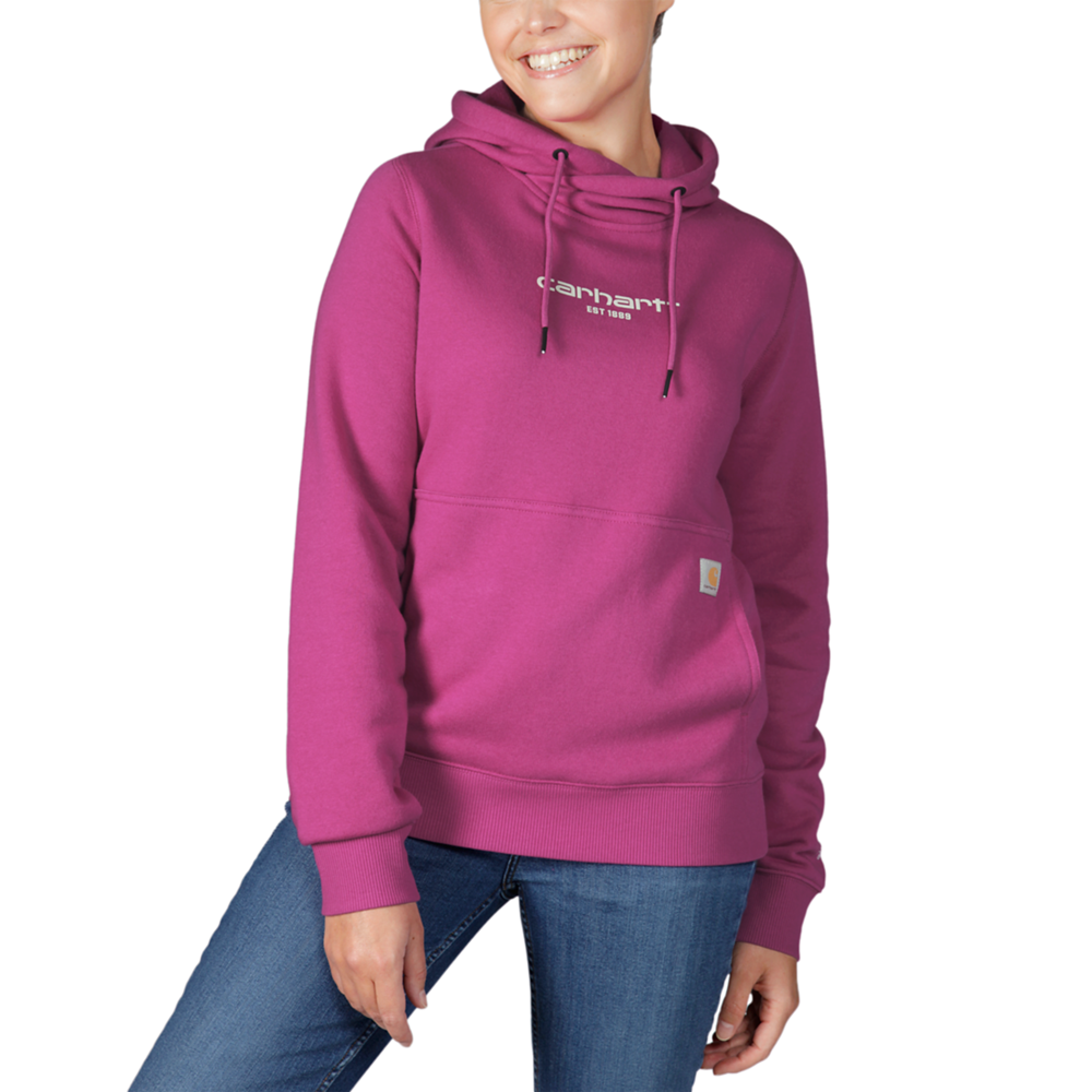 **NEW** Carhartt WOMENS FORCE® Relaxed fit Lightweight Graphic Hooded Sweatshirt