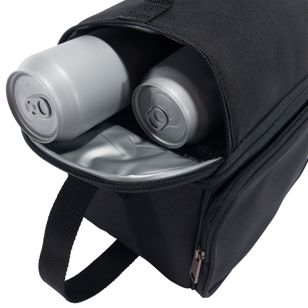 Carhartt INSULATED 12 Can, two compartment lunch cooler