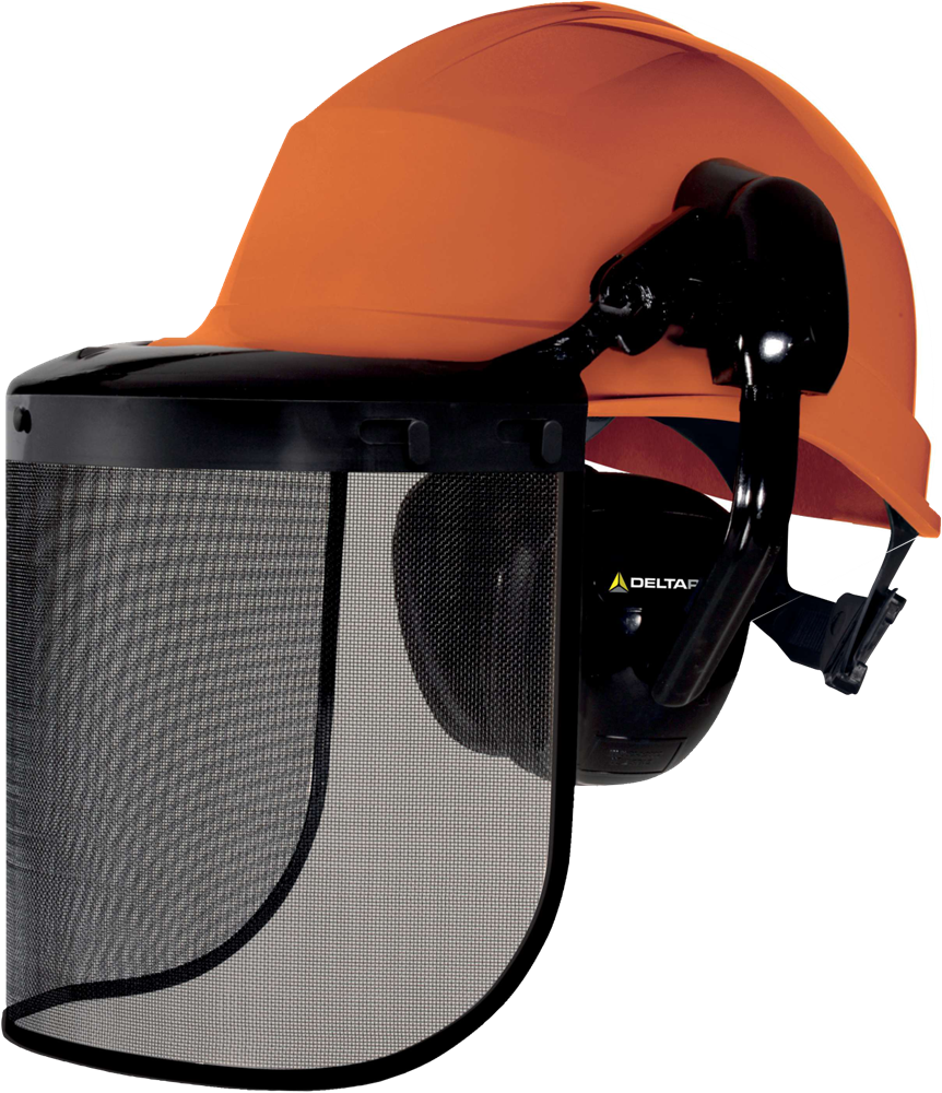 DELTAPLUS Forestier3 Helmet combo