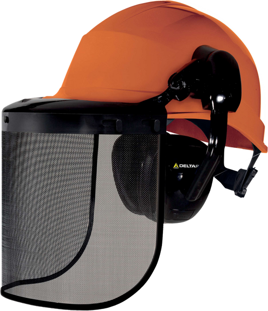 DELTAPLUS Forestier3 Helmet combo