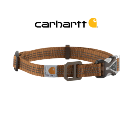 Carhartt LIGHTED DOG Collar