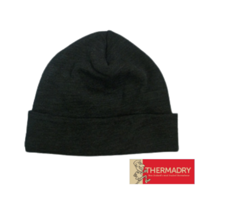 Thermadry Beanie